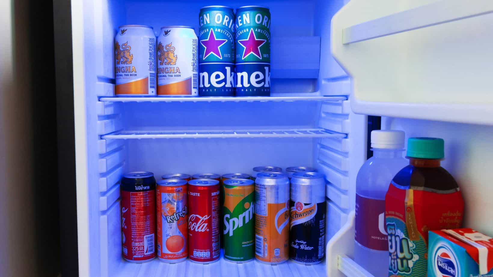 Cel mai bun mini frigider –Top 5 frigidere mici