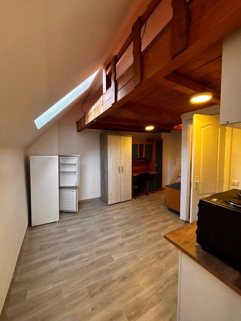 Dau in chirie in Centru zona pt Muzeului ( cheltuieli incluse )